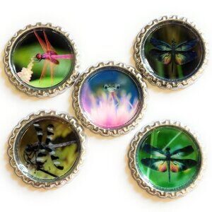 Dragonflies Magnet Set